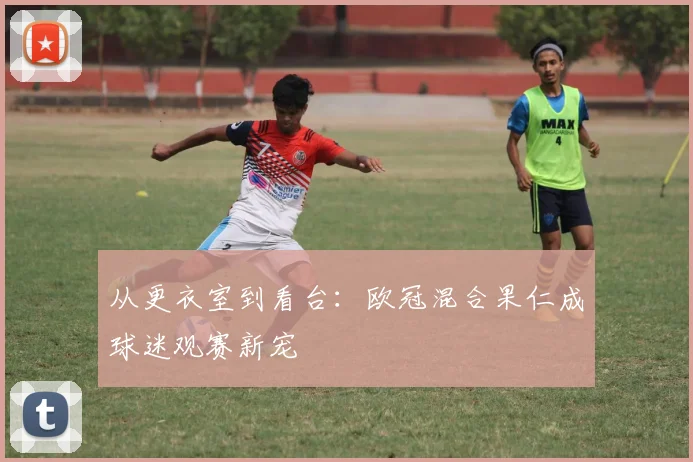 从更衣室到看台：欧冠混合果仁成球迷观赛新宠